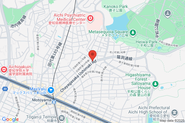 Flower Shop Mori Ltd.