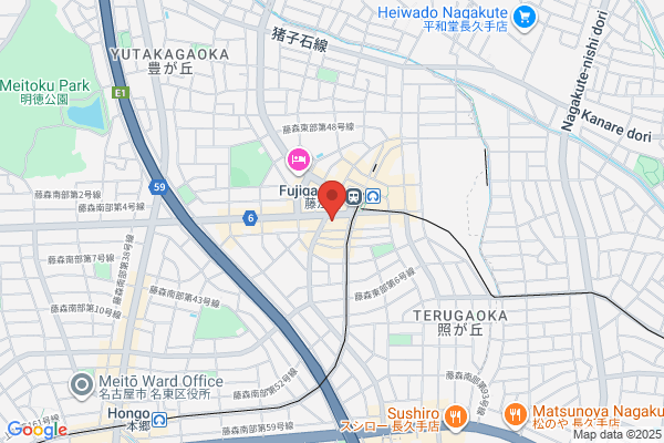 Fujigaoka Flower