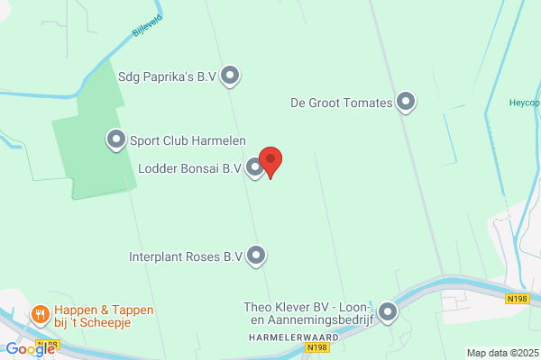 Hokaen