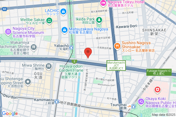 Tsuruya Golf Nagoya Yabacho-ten
