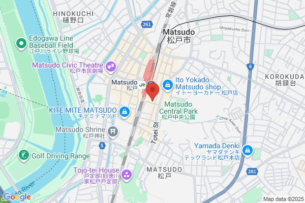 Hotel Shinozaki