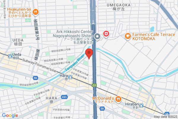 P.C.G. Technica Co., Ltd.