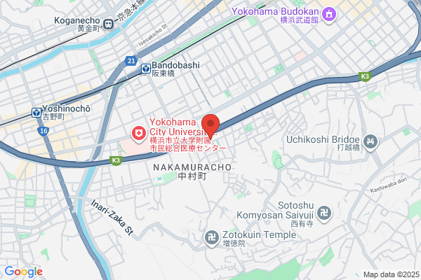 Matsushita Motors Shoten