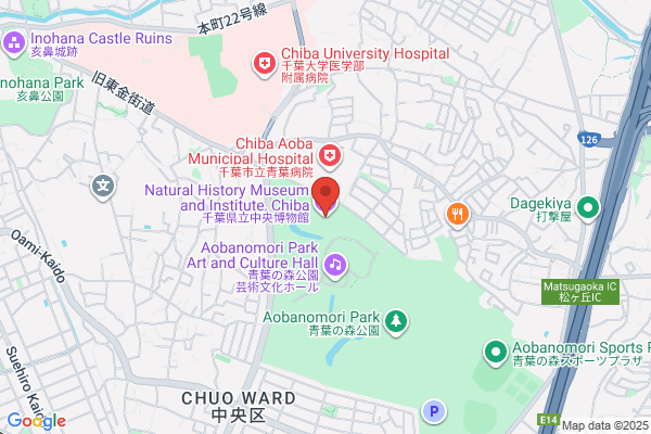 Natural History Museum & Institute, Chiba