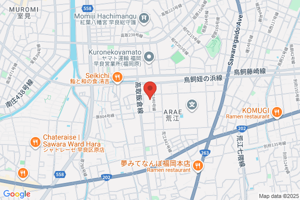 Drug Segami Shinkonan Br.