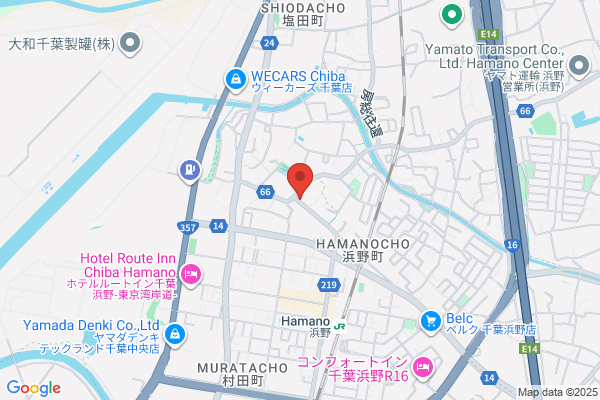 Hoshino Pharmacy