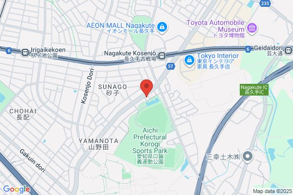 Myzox Co., Ltd.