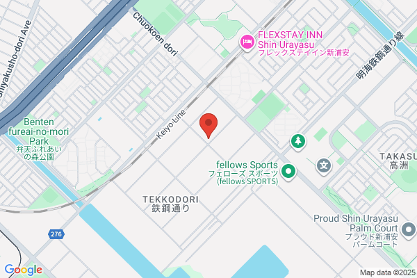 Micro System Co., Ltd.