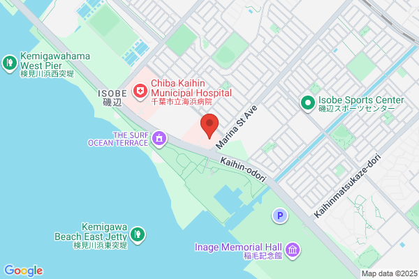 Chiba Chiropractic Gakuin