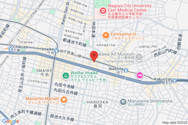 Nagoya Information & Accounting College