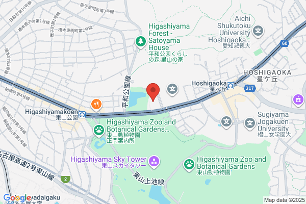 Higo Sports