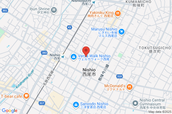 Nishio Sports Apita Minato Shop