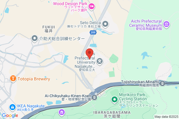 IT Tourist Service