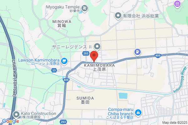 Kowa Tourist