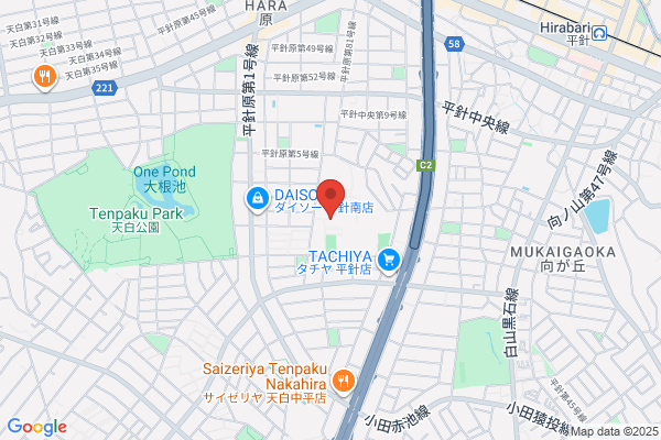 Tokaigakuen Women's College