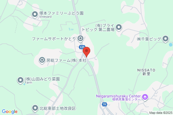 Yamada Auto