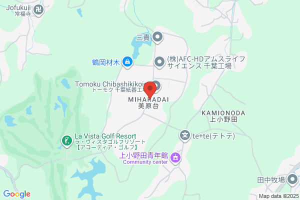 Chiba General Lease Co Ltd
