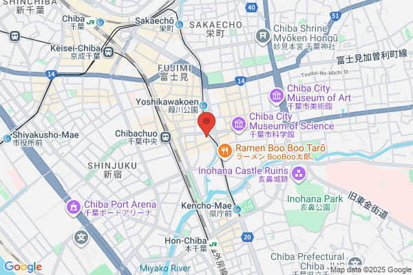 The Chiba Kogyo Bank Ltd