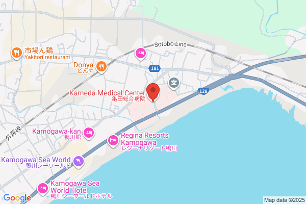 Kameda Medical International Inc.