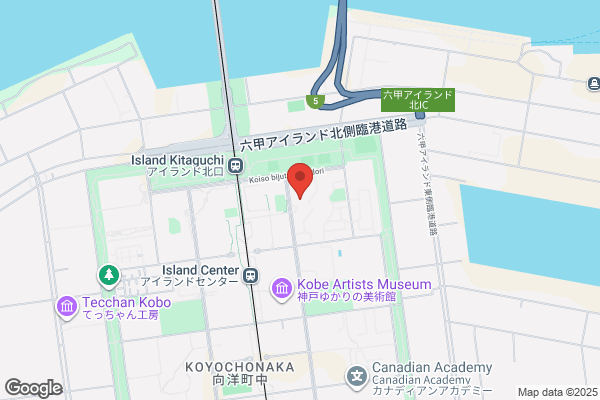 Nippon Autos Ltd.