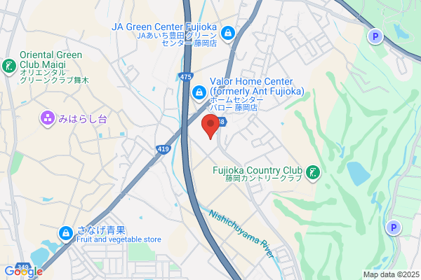Joshin Meglia Fujioka Shop