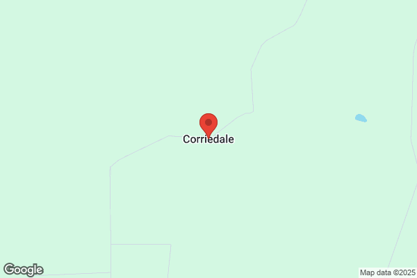Corriedale