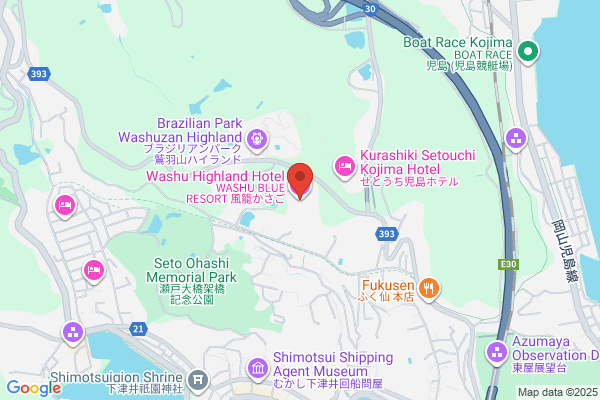 Onsen Hotel Washu