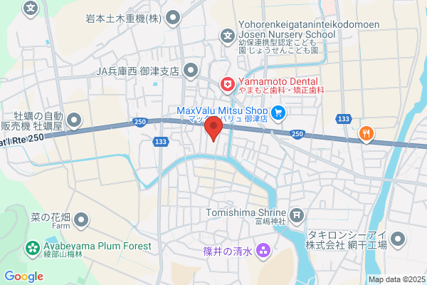Mitsunosato Pharmacy