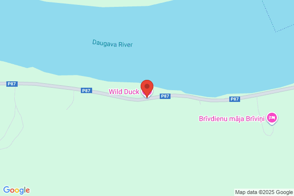 Wild Duck