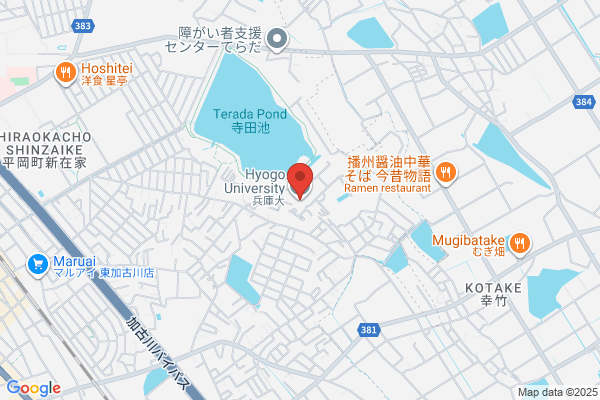 Hyogo University