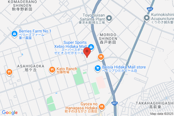 Denki no Hidaka