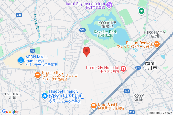 Sumitomo Metal Mining Co Ltd