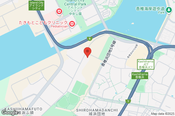 Avispa Fukuoka