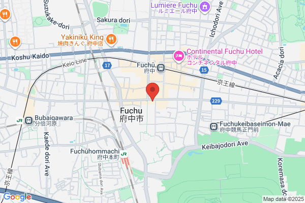 Fuchu Information System Corp.