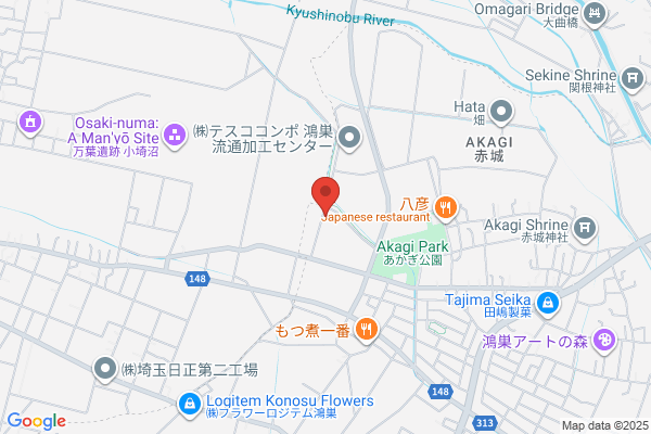 Nippon Telematique Inc.