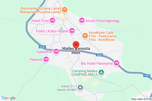 Malsa