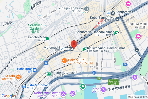 Kobe Washington Hotel Plaza