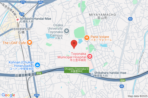 Management Science Co., Ltd.