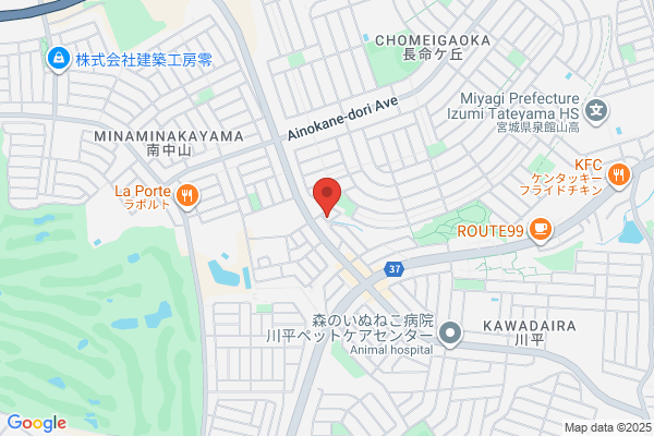 Aki Corporation