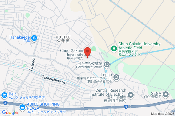 Jitsuyo Chugokugo Gakuin