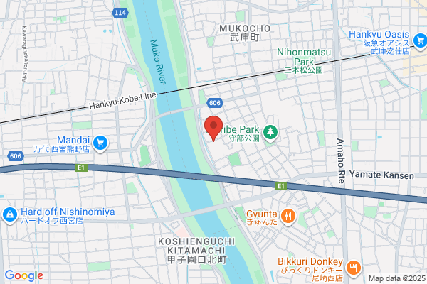 Ichinose Store