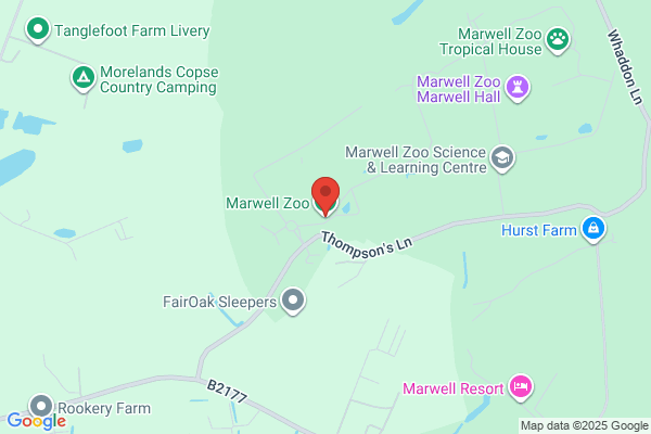 Marwell International Co., Ltd.