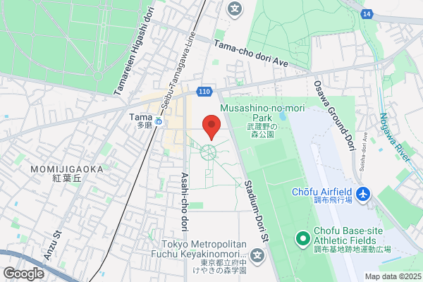 Tokyo University of Foreign Studies