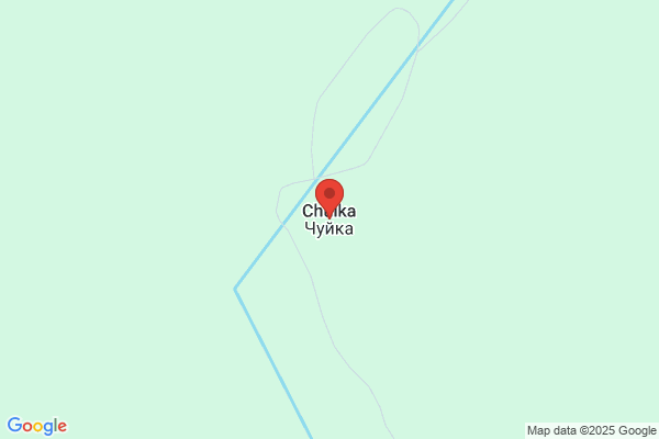 ゲオ敷島店