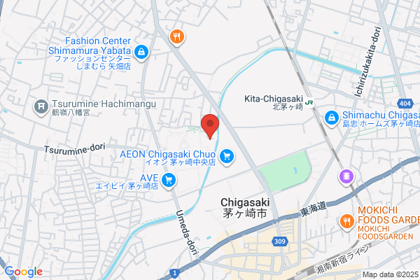 Shonan Yakuhin Co., Ltd. Matsunami-ten