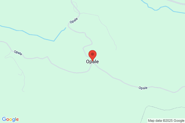 エステサロン OPALE（オパール）