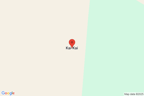 日焼けサロン KAI
