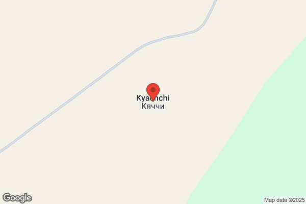 牛カツ京都勝牛 京都ヨドバシ店
