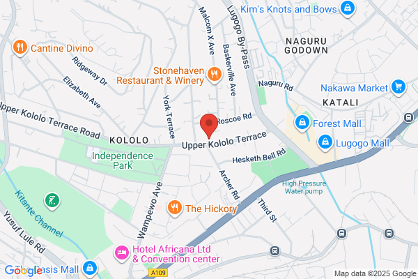 IZUMI cafe ＆bistro