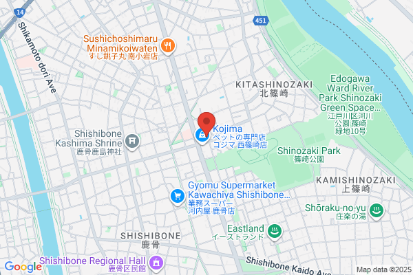 A C Motion Co., Ltd.